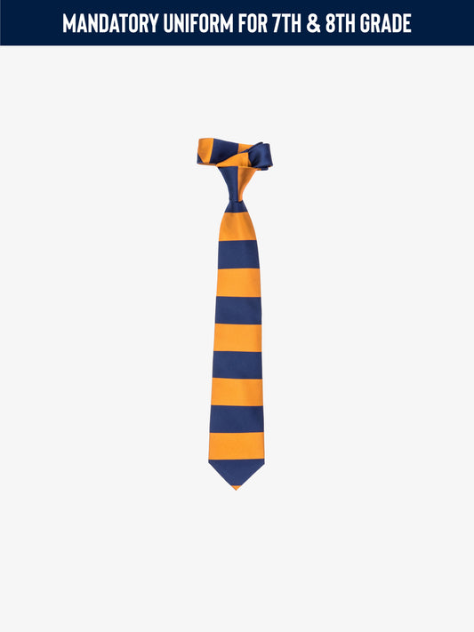 Lamad Academy Colorblock Tie